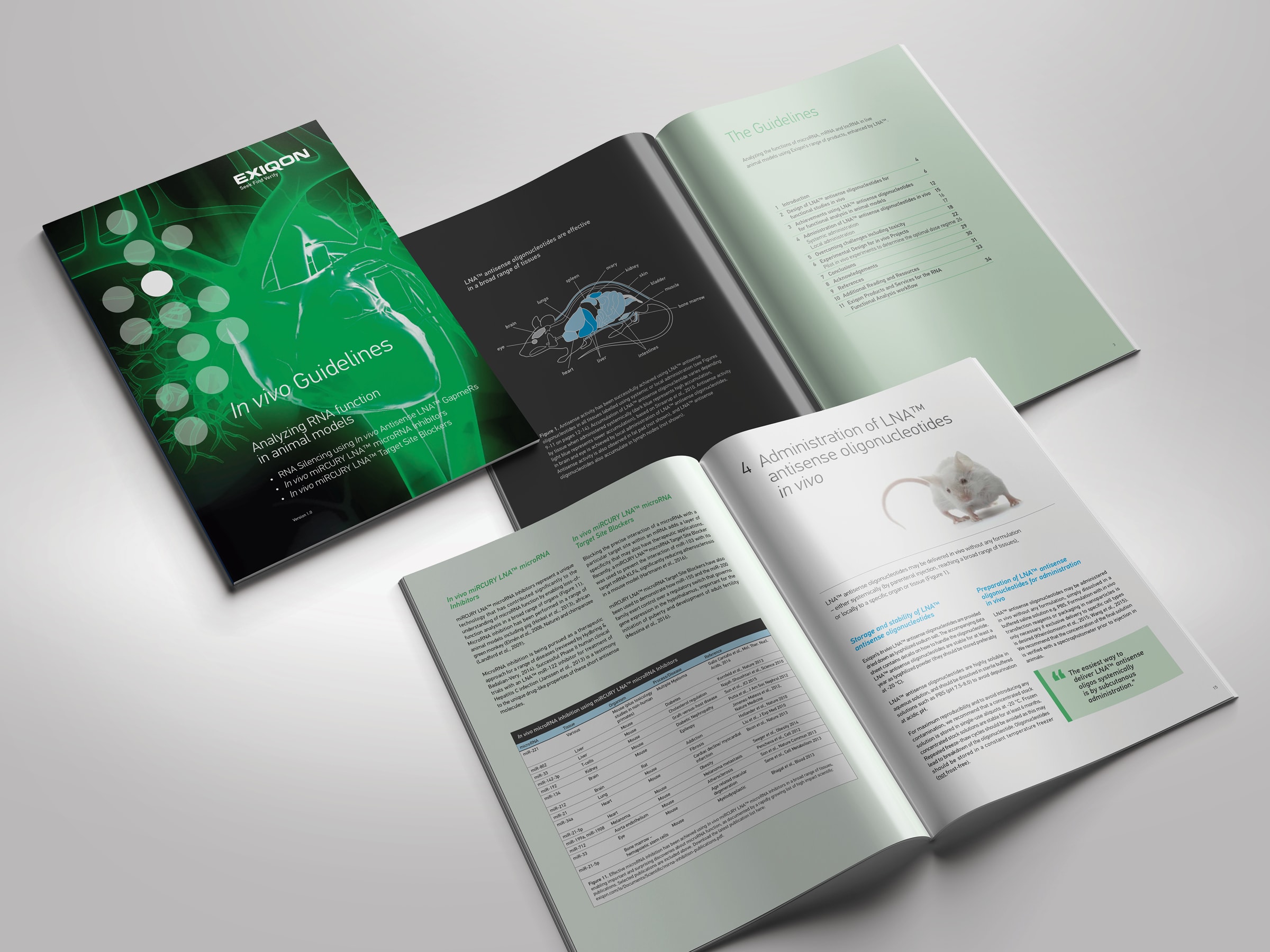 Typomania – Exiqon