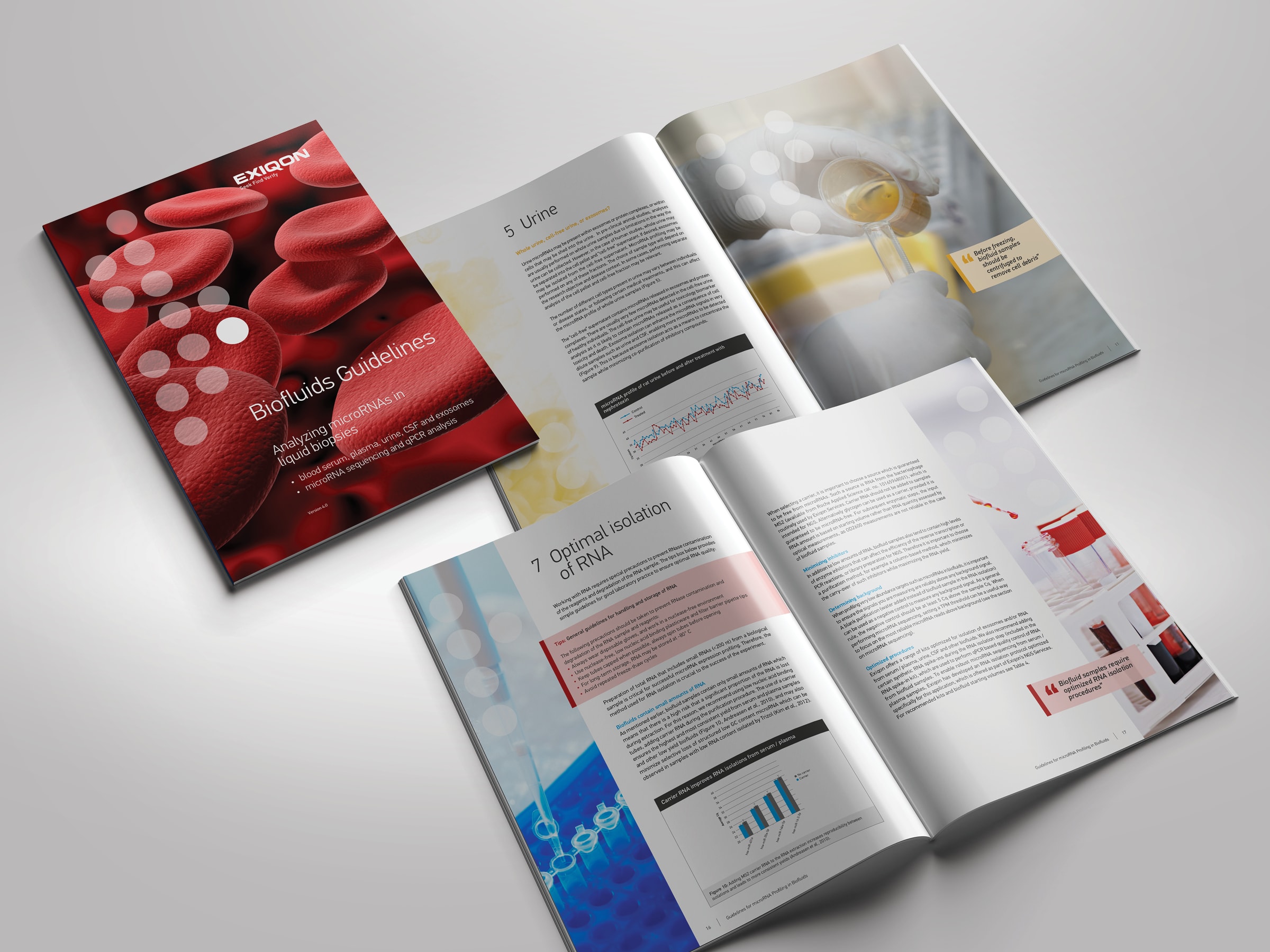 Typomania – Exiqon