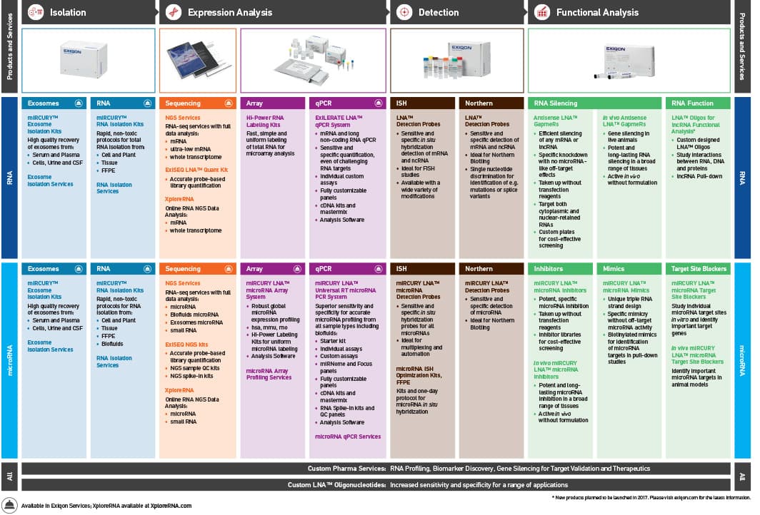 Typomania – Exiqon