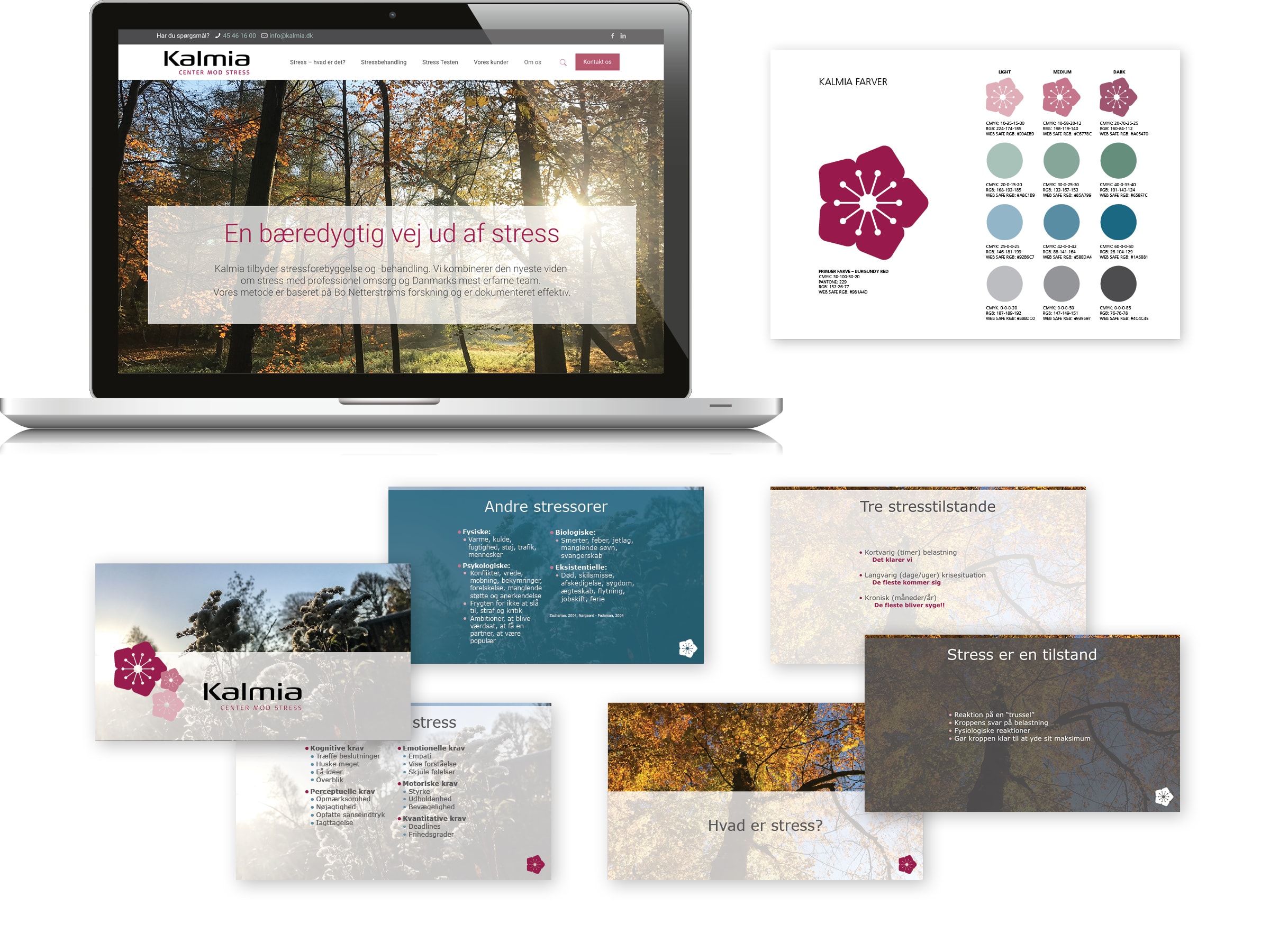 Typomania – Kalmia